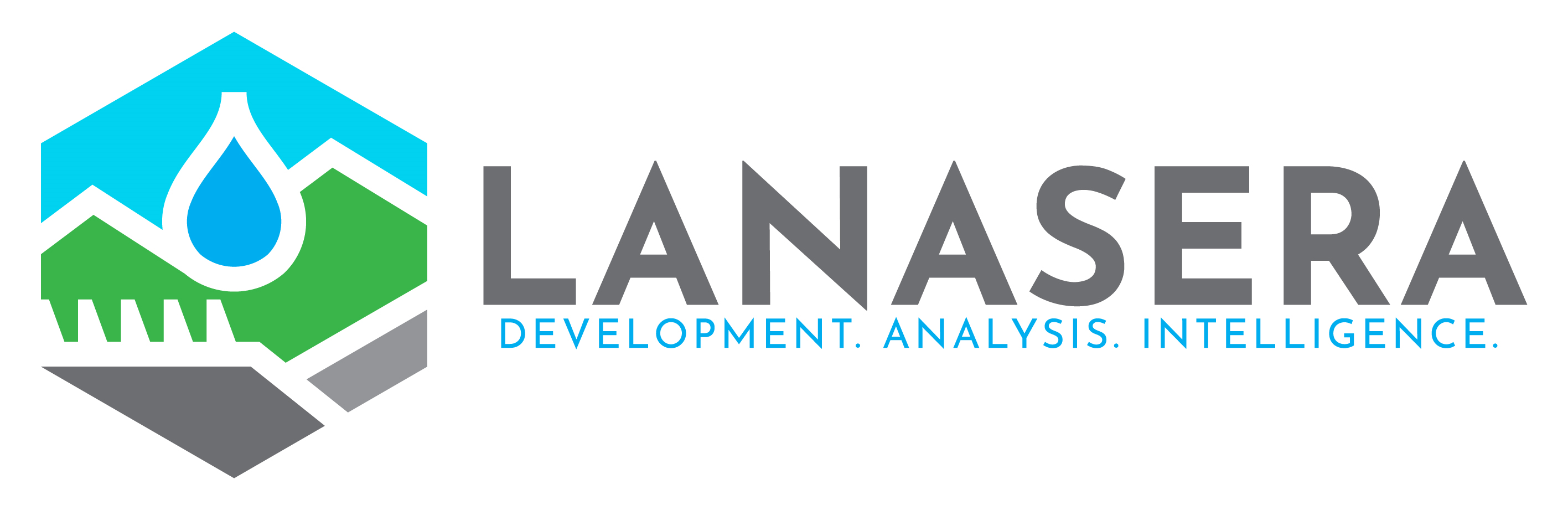 lanasera consulting